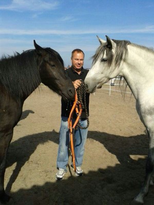 Bandolero y Fogoso